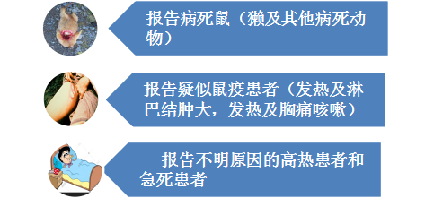 1551951037516510.png